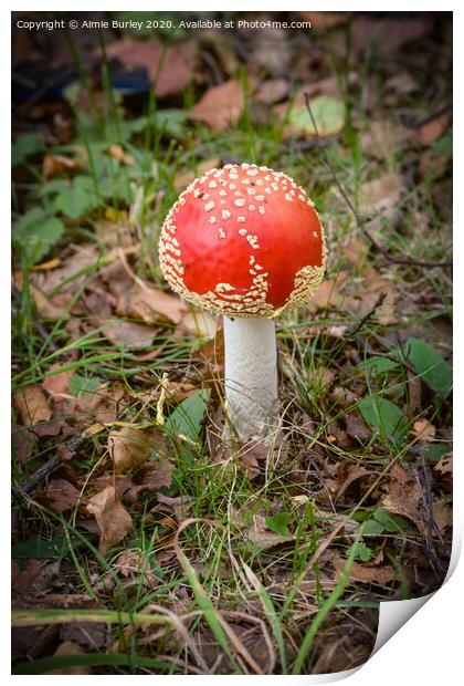 Faberge Toadstool Print by Aimie Burley