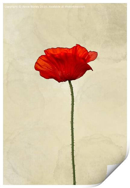 Poppy Print by Aimie Burley
