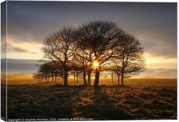 Sunrise through the trees on a misty moor Canvas Print by Stephen Morrison