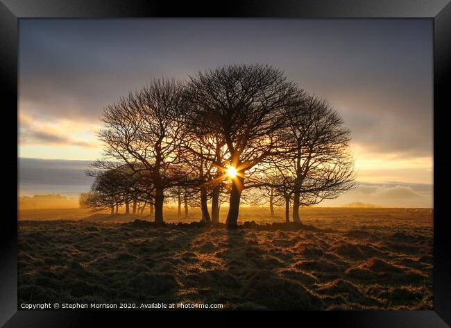 Sunrise through the trees on a misty moor Framed Print by Stephen Morrison