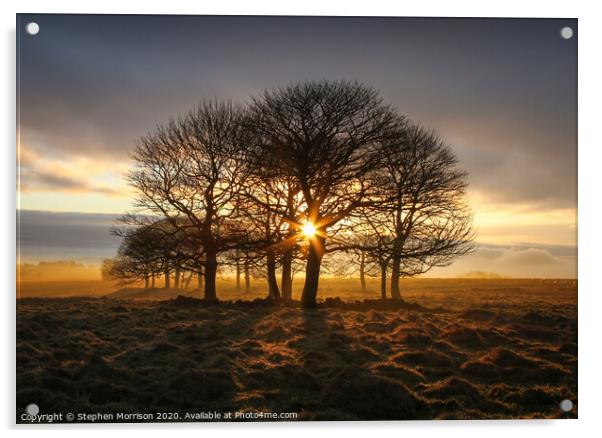 Sunrise through the trees on a misty moor Acrylic by Stephen Morrison