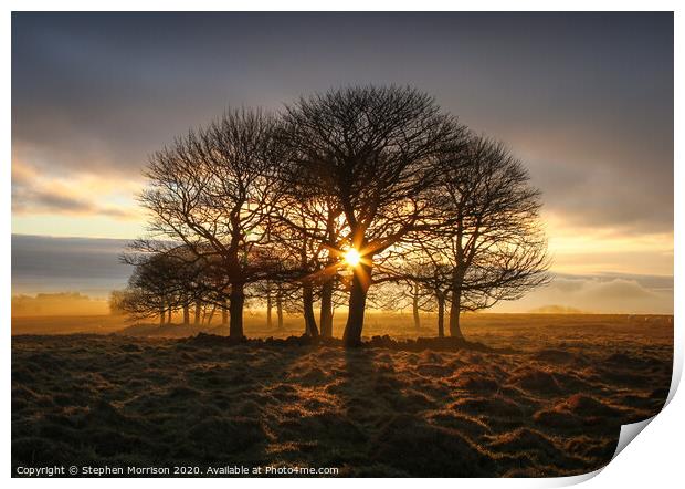 Sunrise through the trees on a misty moor Print by Stephen Morrison