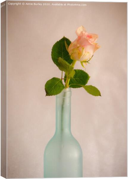 Rose in Bottle Canvas Print by Aimie Burley