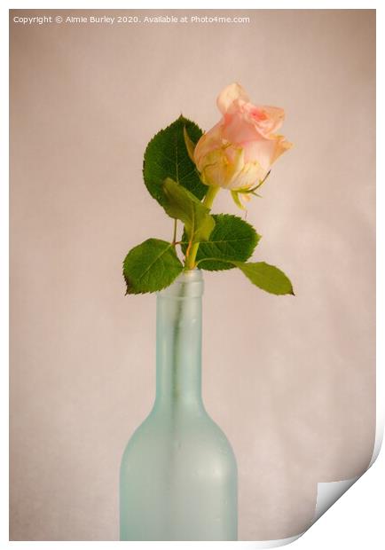 Rose in Bottle Print by Aimie Burley