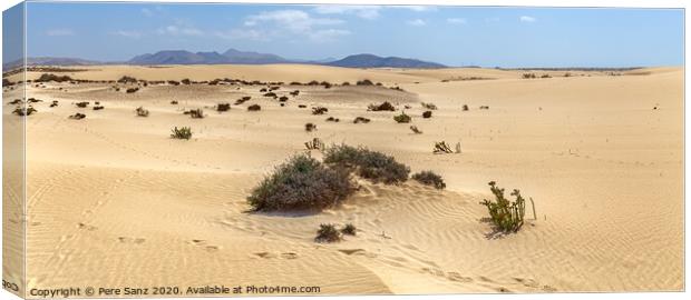 Corralejo Dunes with Volcanic Mountains in the Baclground in Fuerteventura, Canary Islands Canvas Print by Pere Sanz