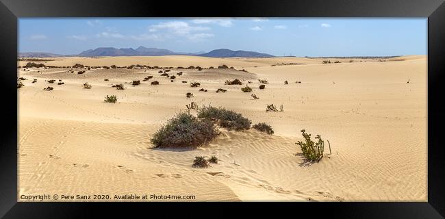 Corralejo Dunes with Volcanic Mountains in the Baclground in Fuerteventura, Canary Islands Framed Print by Pere Sanz