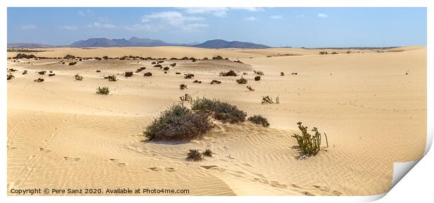 Corralejo Dunes with Volcanic Mountains in the Baclground in Fuerteventura, Canary Islands Print by Pere Sanz