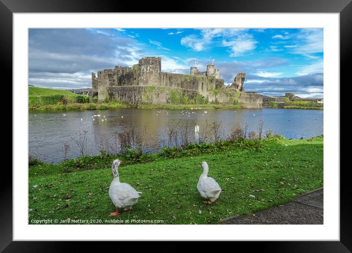 Life around the Castle Framed Mounted Print by Jane Metters