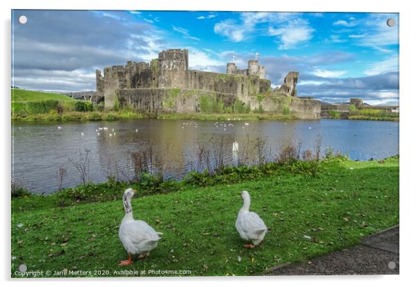 Life around the Castle Acrylic by Jane Metters