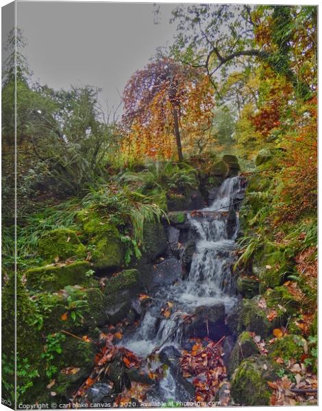 A large waterfall in a forest Canvas Print by carl blake