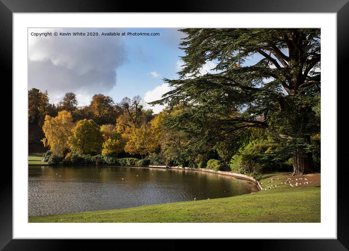Autumn at Claremont Gardens Surrey Framed Mounted Print by Kevin White