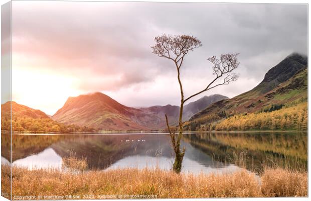 Beautiful Autumn Fall landscape image of Lake Buttermere in Lake District England  Canvas Print by Matthew Gibson