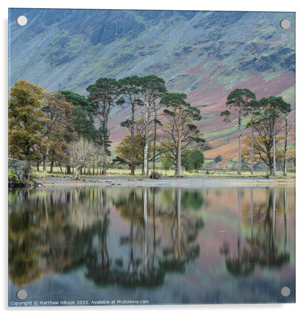 Stuning Autumn Fall landscape image of Lake Buttermere in Lake District England Acrylic by Matthew Gibson