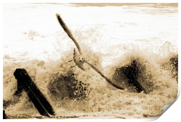 Escape the Surf Print by Glen Allen