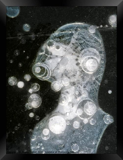 Ice Portrait, Lake Wingra, Madison, USA Framed Print by Steven Ralser