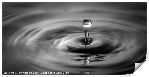 Water Drop  Print by Ray Pritchard