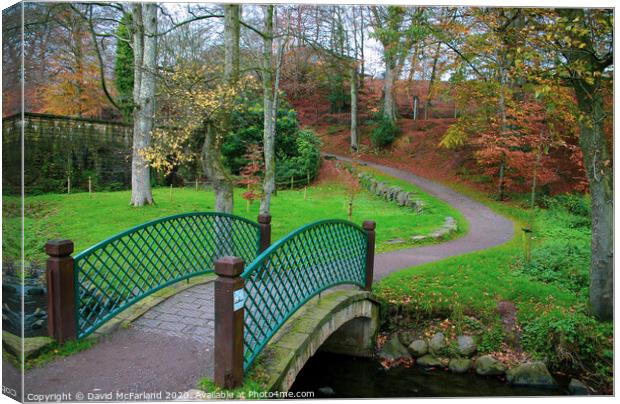Walks in Dungannon Park Canvas Print by David McFarland