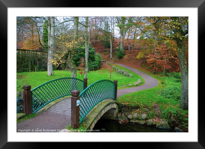Walks in Dungannon Park Framed Mounted Print by David McFarland