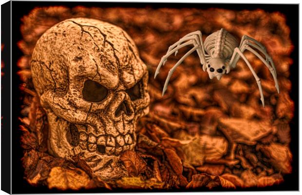 Halloween Skull And Spider Canvas Print by Steve Purnell