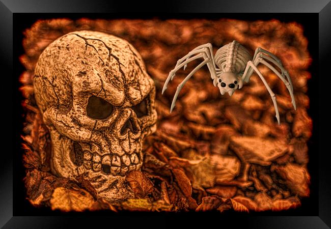 Halloween Skull And Spider Framed Print by Steve Purnell
