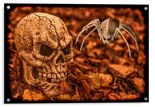 Halloween Skull And Spider Acrylic by Steve Purnell