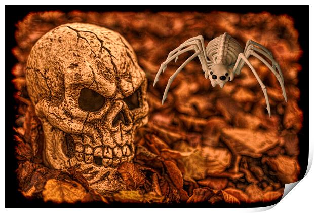 Halloween Skull And Spider Print by Steve Purnell