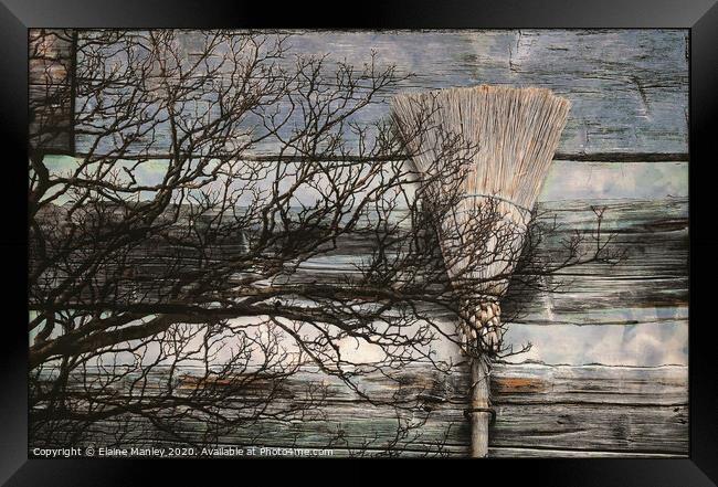 Cinnamon Broom   misc  Framed Print by Elaine Manley