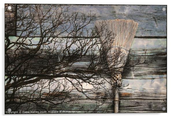 Cinnamon Broom   misc  Acrylic by Elaine Manley
