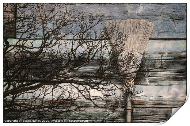 Cinnamon Broom   misc  Print by Elaine Manley