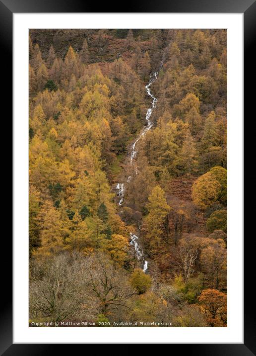 Stunning vibrant golden Autumn Fall landscape of larch tree forest with river and waterfall flowing through from top to bottom of image Framed Mounted Print by Matthew Gibson