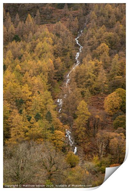 Stunning vibrant golden Autumn Fall landscape of larch tree forest with river and waterfall flowing through from top to bottom of image Print by Matthew Gibson