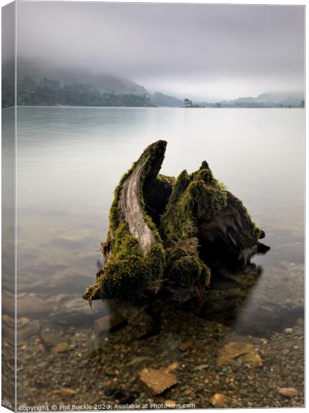 Ullswater Stump Canvas Print by Phil Buckle