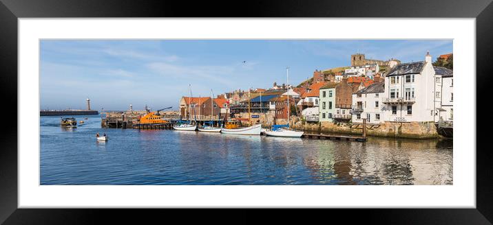 Yachts lined up in Whitby harbour Framed Mounted Print by Jason Wells