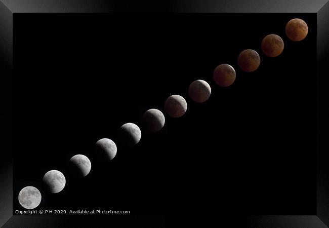 Lunar Eclipse Sequence Framed Print by P H