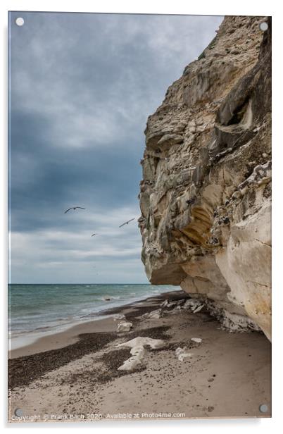 Bird cliffs in Bulbjerg near Lild beach in Thy, Denmark Acrylic by Frank Bach