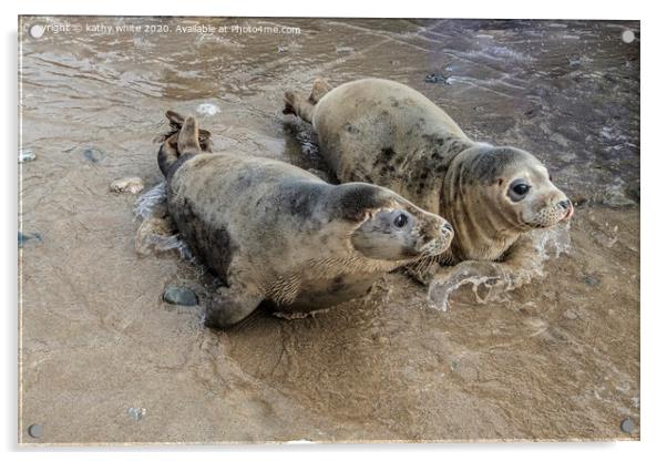 grey seals playing in the water Acrylic by kathy white