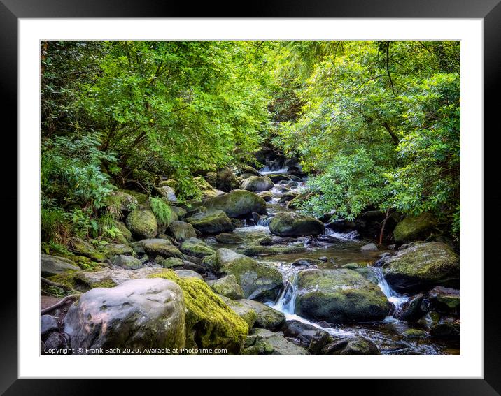 Torc waterfall near Killarney at Ring of Kerry Framed Mounted Print by Frank Bach