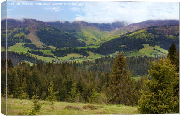 Beautiful panorama of the Carpathian mountains in summer against the background of tall coniferous trees, blue sky and bright white clouds. Canvas Print by Sergii Petruk
