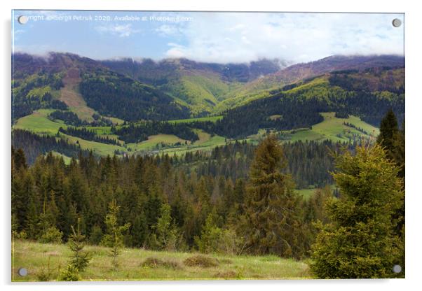 Beautiful panorama of the Carpathian mountains in summer against the background of tall coniferous trees, blue sky and bright white clouds. Acrylic by Sergii Petruk