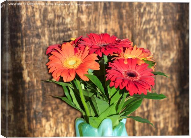 Beautiful bouquet of gerberas in a glass colored vase on the background of an old vintage wooden wall Canvas Print by Sergii Petruk