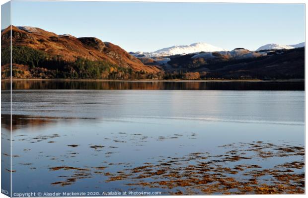 Looking across to Attadale from Lochcarron Canvas Print by Alasdair Mackenzie