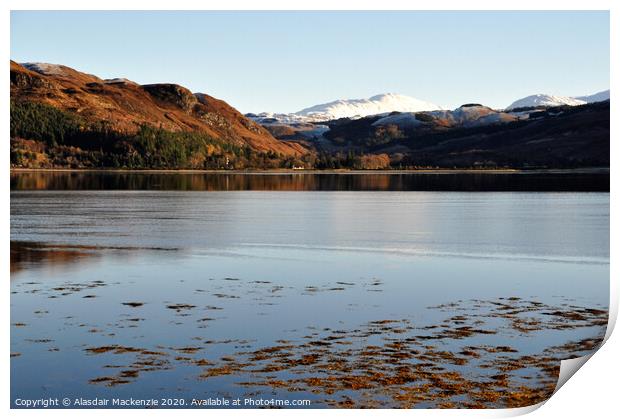 Looking across to Attadale from Lochcarron Print by Alasdair Mackenzie