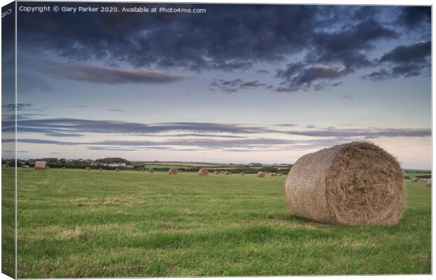 hay bales in the field	 Canvas Print by Gary Parker