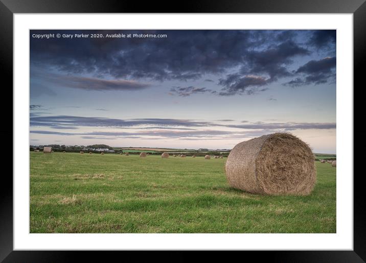 hay bales in the field	 Framed Mounted Print by Gary Parker