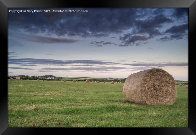 hay bales in the field	 Framed Print by Gary Parker