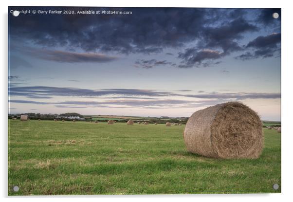 hay bales in the field	 Acrylic by Gary Parker