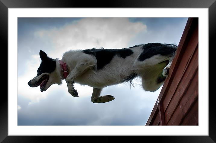 Tara Jumping fence Framed Mounted Print by Keith Thorburn EFIAP/b