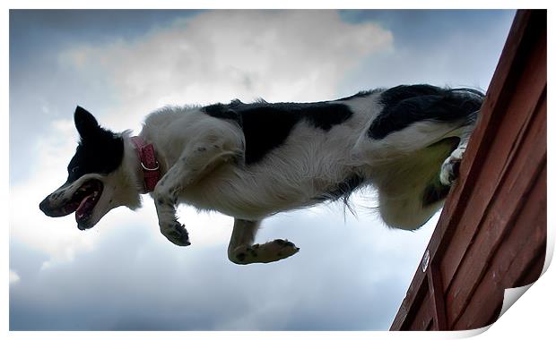 Tara Jumping fence Print by Keith Thorburn EFIAP/b