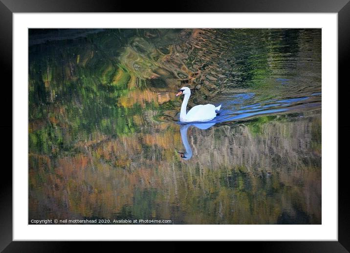 Autumn Reflections In The Looe River. Framed Mounted Print by Neil Mottershead
