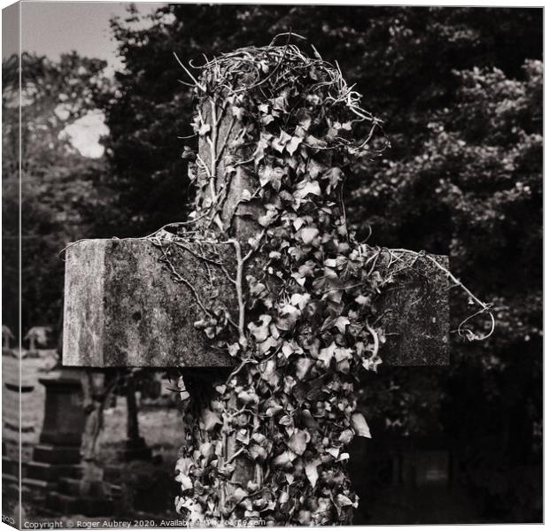 Ivy growing on a cross Canvas Print by Roger Aubrey